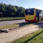 Fotka nr 2 z 10