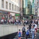 Fotka nr 2 z 7