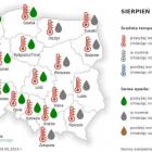  Sierpień 2023  
W sierpniu w całym kraju średnia miesięczna temperatura powietrza...