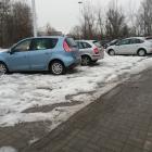 zdjęcie nr 10