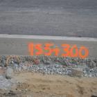 zdjęcie nr 42