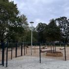 zdjęcie nr 12