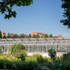 Szklarnie po remoncie - Ogród Botaniczny, Wrocław  Autor: UWr