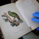  fot. Jakub Jurek 

 Zbiory biblioteczne należące do wrocławskiego zoo&nbsp; 
