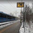 zdjęcie nr 14