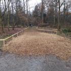 Park Grabiszyński - ścieżka z drewnianych  zrębków  Autor: Zarząd Zieleni Miejskiej