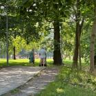 Park Kleciński we Wrocławiu  Autor: AP