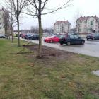 W tym miejscu stał sklep  Autor: mgo