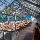 Ogród Botaniczny we Wrocławiu - szklarnie UWr po remoncie  Autor: UWr