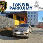 zdjęcie nr 28