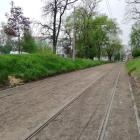 zdjęcie nr 5