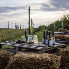 Restauracja Żar Wino, Krakowiany 
 
Warto wybrać się na cykliczne wydarzenia w...