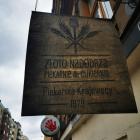 zdjęcie nr 8