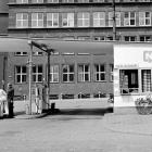 zdjęcie nr 7