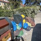 Fotka nr 4 z 17