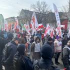 zdjęcie nr 30