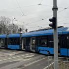 Fotka nr 4 z 6