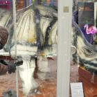   Autor: ZOO Wrocław