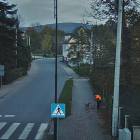 fot. Straż Miejska w Bogatyni/screen