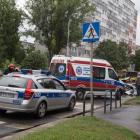 zdjęcie nr 8