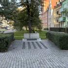 zdjęcie nr 8