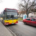 Fotka nr 4 z 10