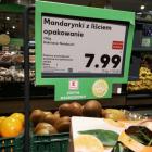 zdjęcie nr 15