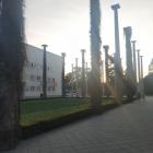 Akcja straży pożarnej pod Halą Ludową. Włączyła się czujka przeciwpożarowa  Autor: is
