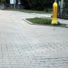 zdjęcie nr 7