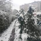 zdjęcie nr 35