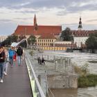 zdjęcie nr 48