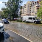 zdjęcie nr 7