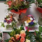 Kwiaciarnia 100krotka
 
Mickiewicza 100
 
Ocena 5/5 (6 opinii)  Autor: Kwiaciarnia...