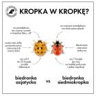 Fotka nr 5 z 6