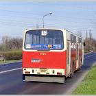 zdjęcie nr 9