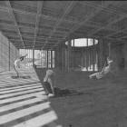 Fragment projektu „Dom Jogi. Manifest natury w architekturze” Natalii Wojtaś.  Autor:...