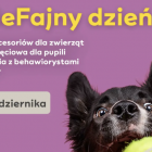 PsieFajni Dzień - targi akcesoriów dla zwierząt
 
Z okazji Międzynarodowego Dnia...