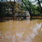 zdjęcie nr 28