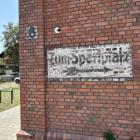 zdjęcie nr 6