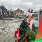 zdjęcie nr 15