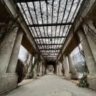 Najlepsze miejsca na instagramowe sesje [ZDJĘCIA].
Wrocławska Pergola w kształcie...
