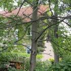 zdjęcie nr 4