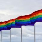 Tęczowe flagi społeczności LGBT+  Autor: pixabay.com