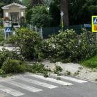 zdjęcie nr 7