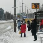 zdjęcie nr 21