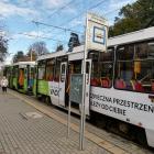 zdjęcie nr 18