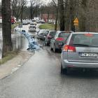 Fotka nr 2 z 10