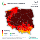 Fotka nr 1 z 3
