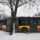 zdjęcie nr 6