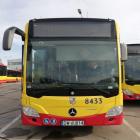 zdjęcie nr 2